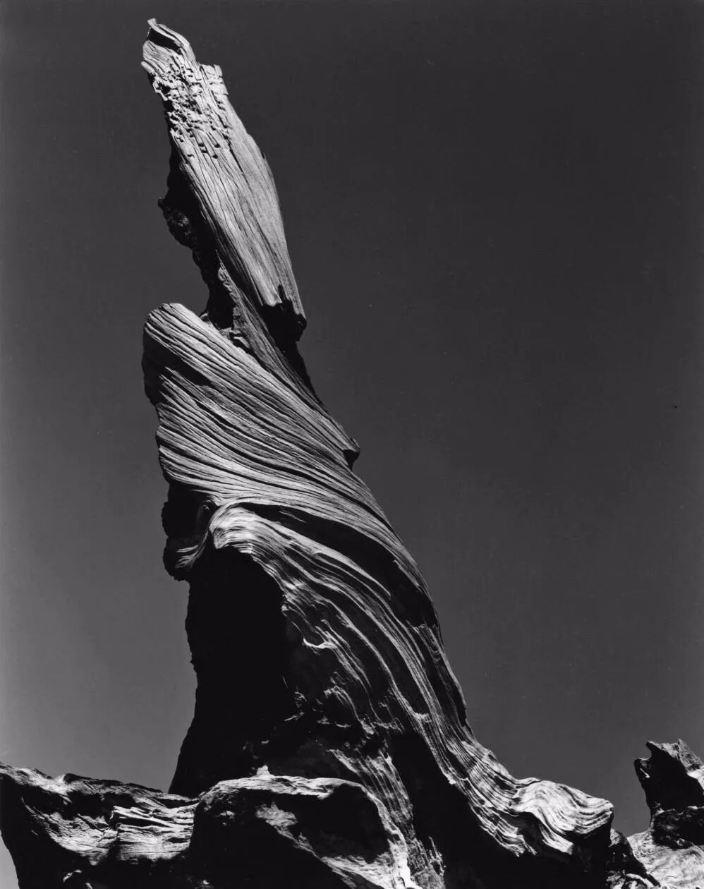 将摄影带入现代性爱德华韦斯顿