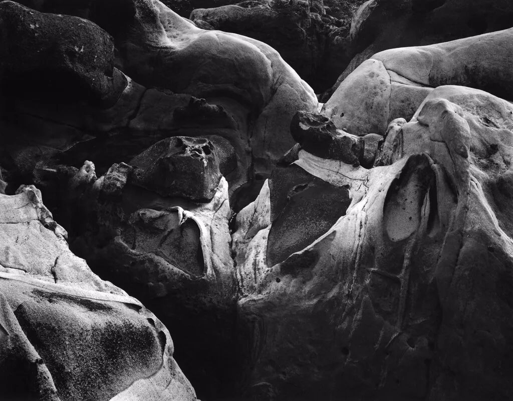 将摄影带入现代性爱德华韦斯顿