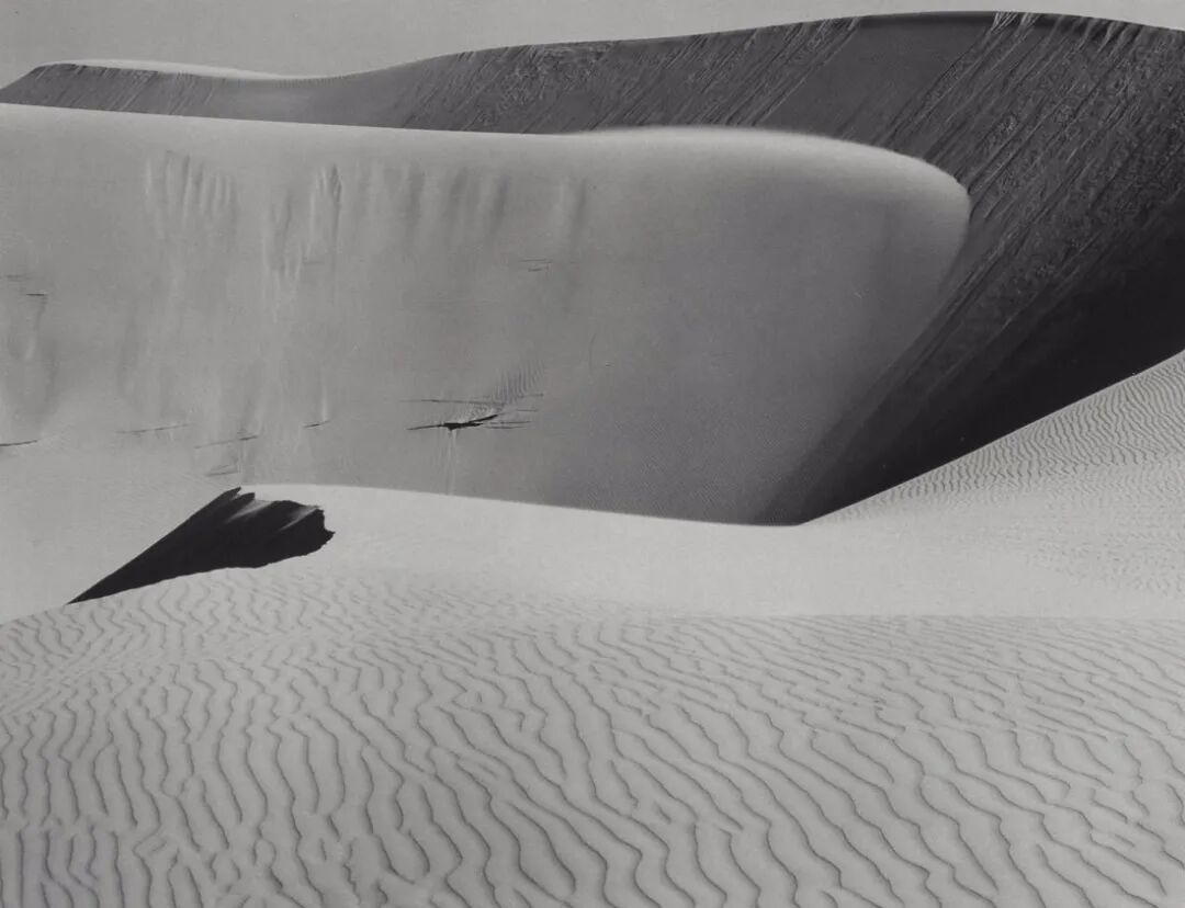 将摄影带入现代性爱德华韦斯顿