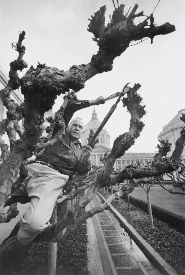 拍摄灵魂的大师 | 尤素福·卡什