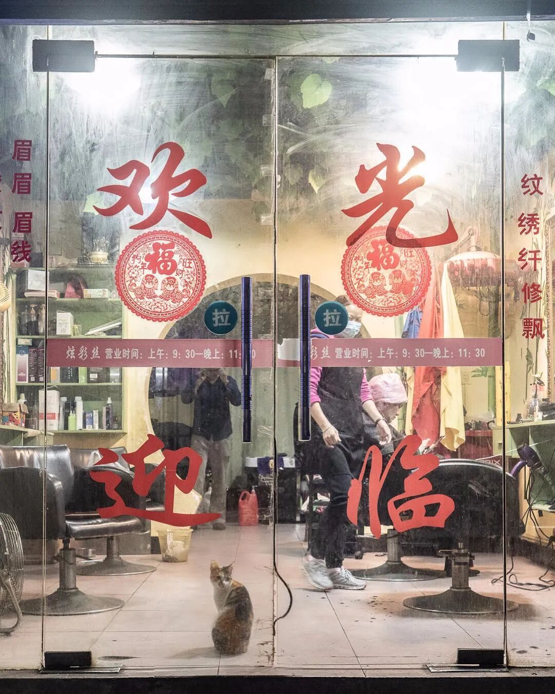 荷兰摄影师潜入香港，5年拍20000张猫片：不要因为走的太远，而忘了来时的路（组图） - 46
