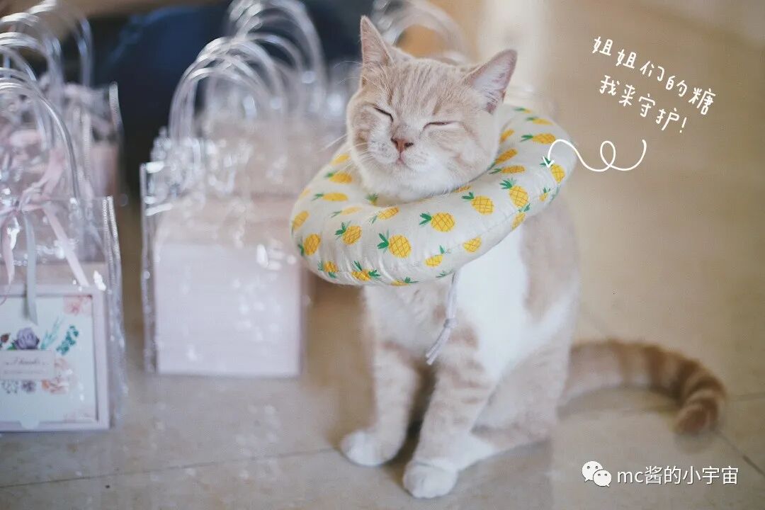 室外婚礼场地出租_大连室外婚礼场地_成都室外婚礼场地