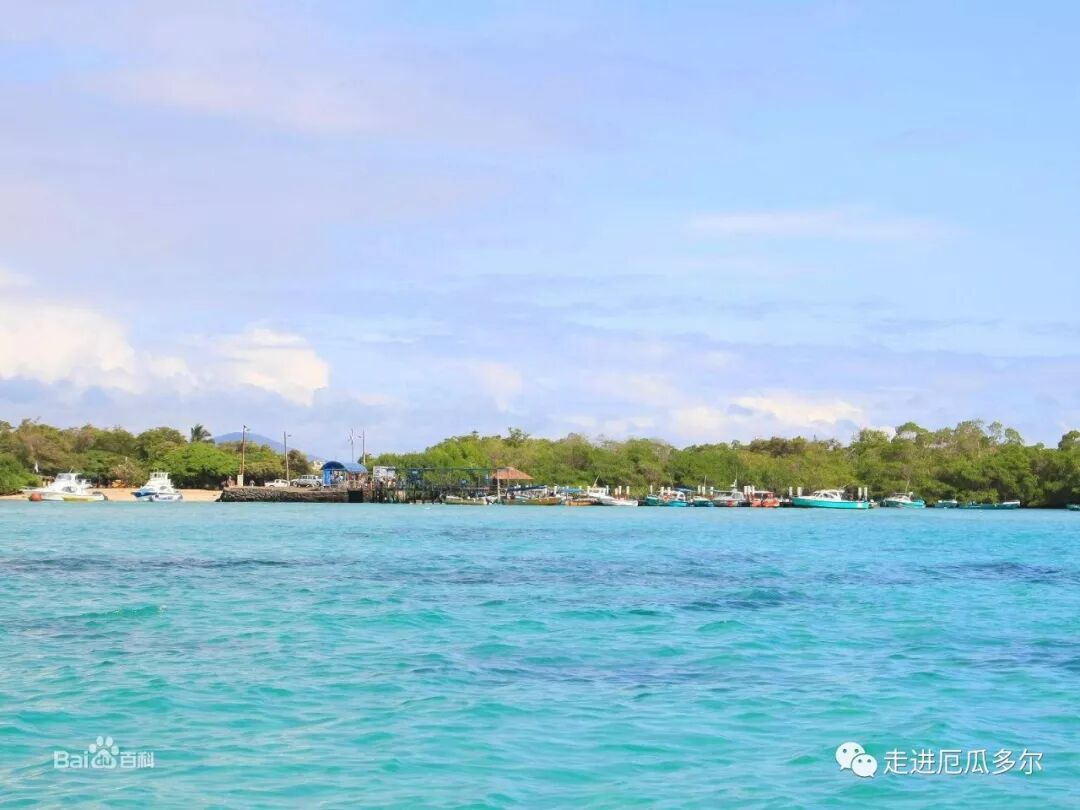 厄瓜多尔加拉帕戈斯群岛伊莎贝拉岛介绍篇