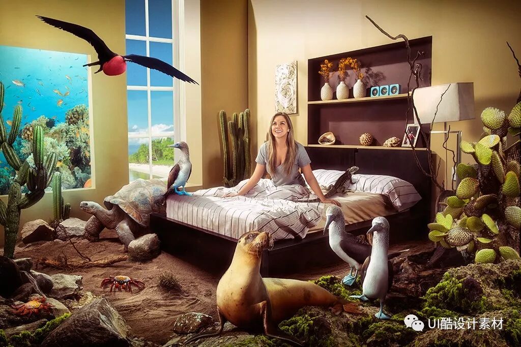 成体系！电商视觉设计学习资源第一季，含教程、素材、欣赏、软件【522期】