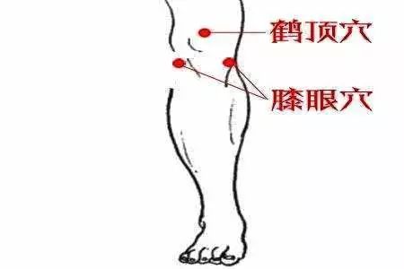 内膝眼，经外奇穴