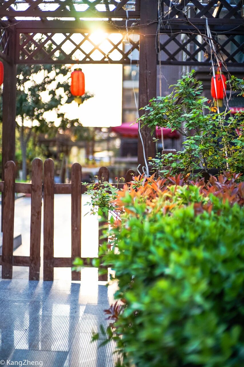 这是谁家的后花园，又是谁梦想中的后花园