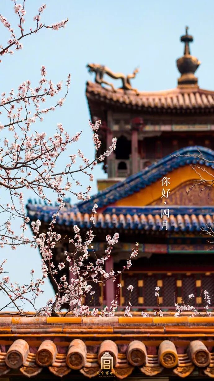 一到春天故宫就美成了御花园