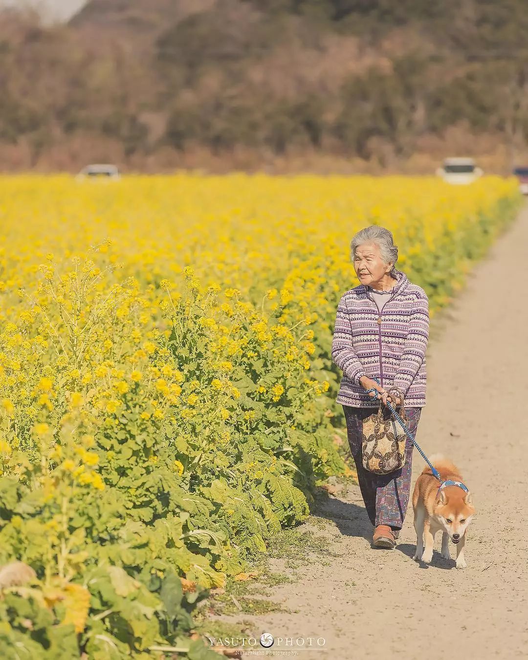 86 歲奶奶和柴犬共度餘生，一張圖片暖哭 34 萬網友，看完瞬間被治愈了… 未分類 第30張