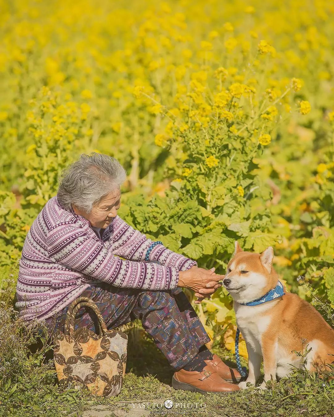 86 歲奶奶和柴犬共度餘生，一張圖片暖哭 34 萬網友，看完瞬間被治愈了… 未分類 第32張