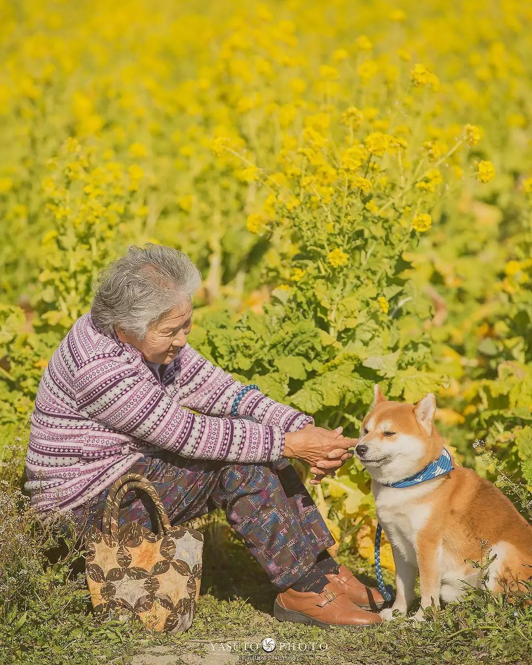 86 歲奶奶和柴犬共度餘生，一張圖片暖哭 34 萬網友，看完瞬間被治愈了… 寵物 第32張