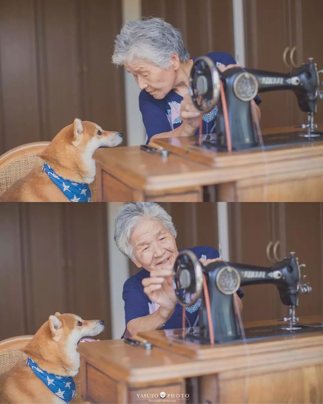86 歲奶奶和柴犬共度餘生，一張圖片暖哭 34 萬網友，看完瞬間被治愈了… 未分類 第26張
