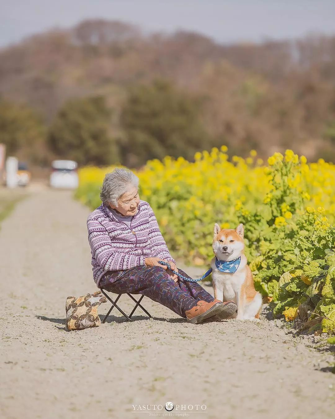 86 歲奶奶和柴犬共度餘生，一張圖片暖哭 34 萬網友，看完瞬間被治愈了… 未分類 第33張
