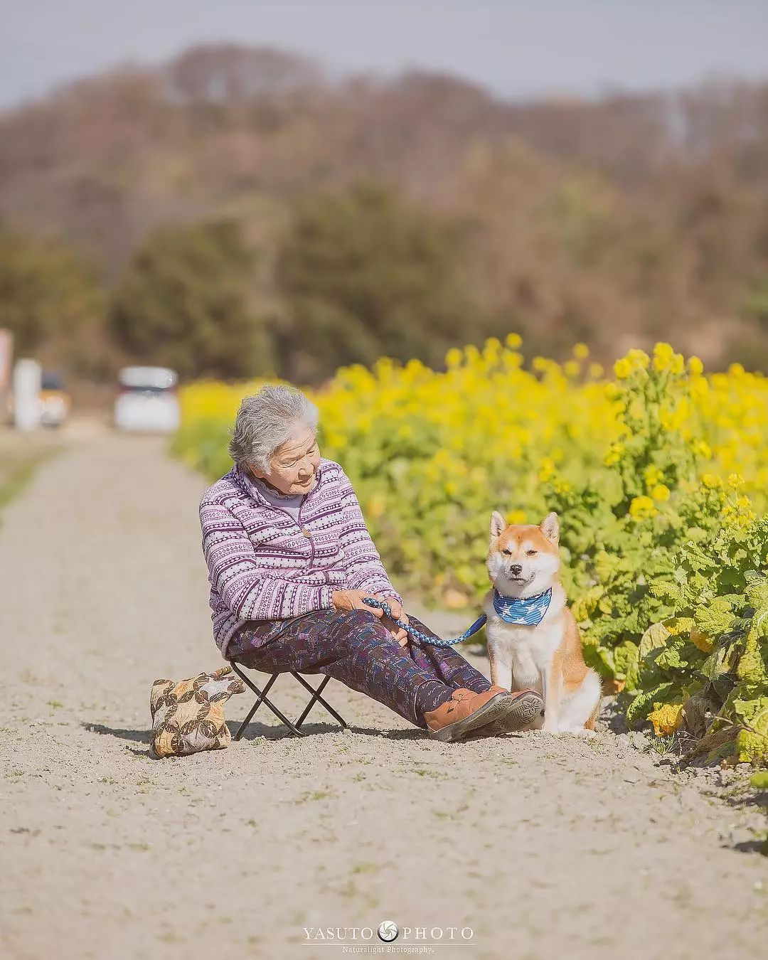 86 歲奶奶和柴犬共度餘生，一張圖片暖哭 34 萬網友，看完瞬間被治愈了… 寵物 第33張