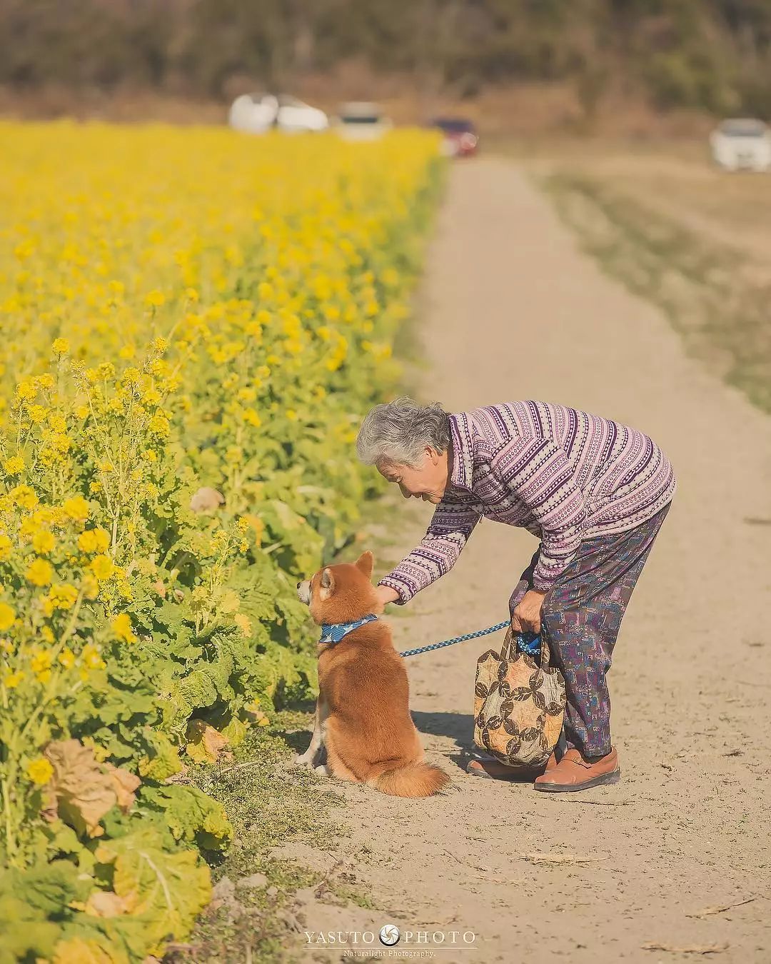 86 歲奶奶和柴犬共度餘生，一張圖片暖哭 34 萬網友，看完瞬間被治愈了… 未分類 第31張