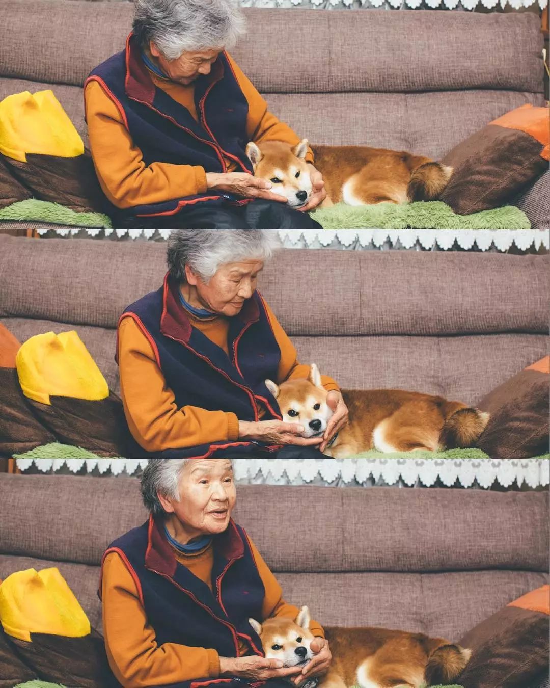 86 歲奶奶和柴犬共度餘生，一張圖片暖哭 34 萬網友，看完瞬間被治愈了… 未分類 第24張