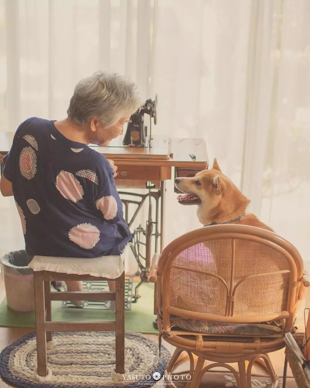 86 歲奶奶和柴犬共度餘生，一張圖片暖哭 34 萬網友，看完瞬間被治愈了… 未分類 第28張
