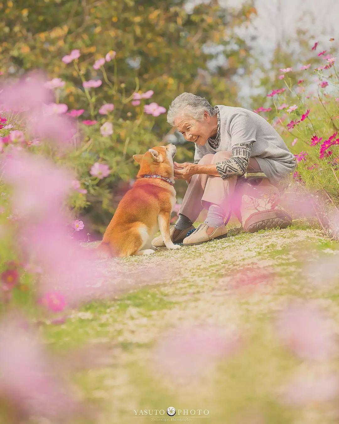 86 歲奶奶和柴犬共度餘生，一張圖片暖哭 34 萬網友，看完瞬間被治愈了… 未分類 第51張