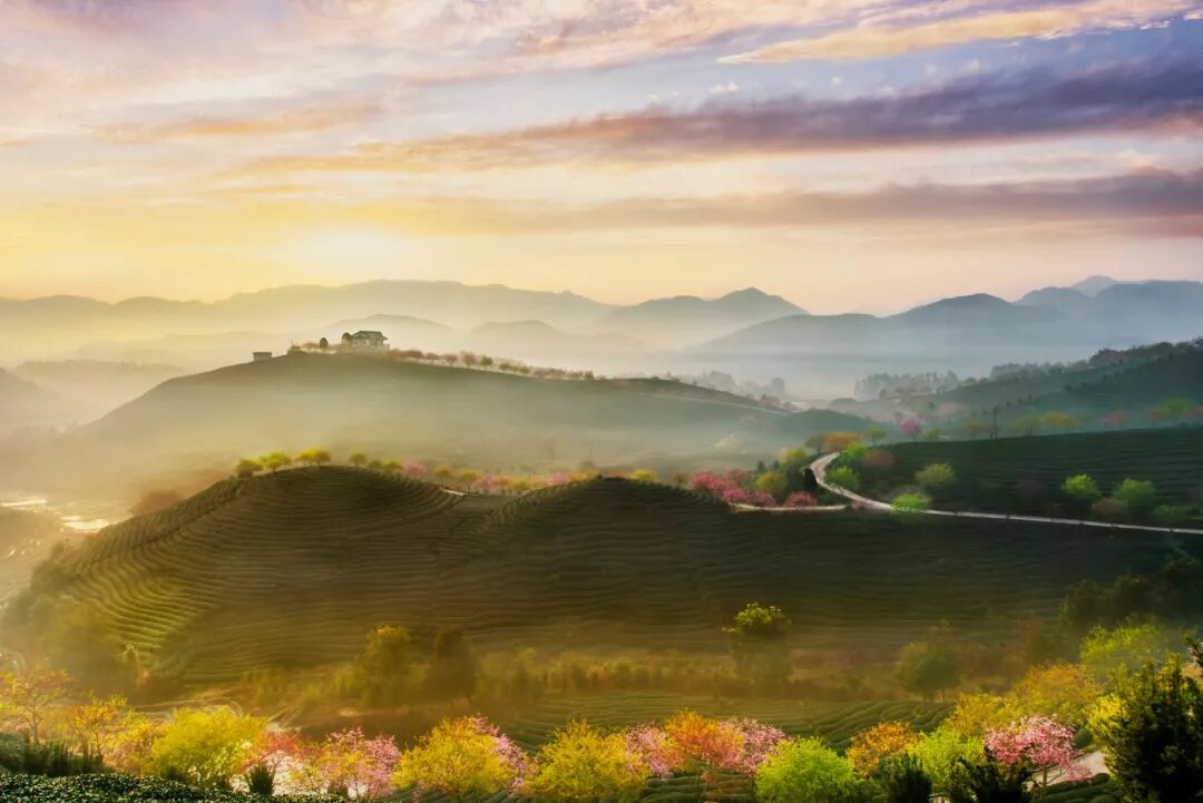 台灣哪裡好玩之【旅遊指南】美過武漢不輸台灣，比日本大5倍，福建藏了個世界級賞櫻地！ 旅行 第20張