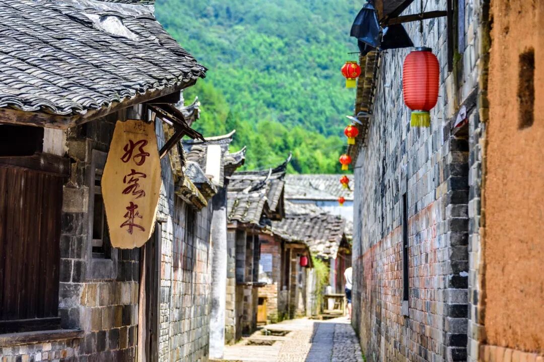 台灣哪裡好玩之【旅遊指南】美過武漢不輸台灣，比日本大5倍，福建藏了個世界級賞櫻地！ 旅行 第29張