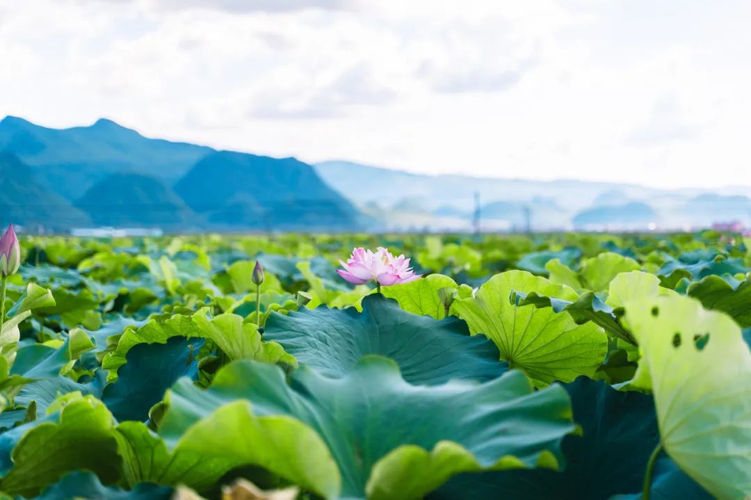 這6個清爽景美的小眾秘境裡，藏著中國最爽的夏天 旅遊 第7張