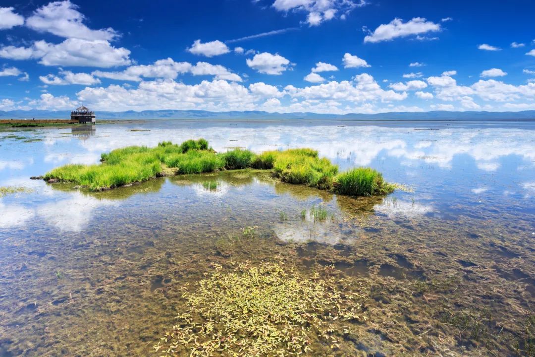 這6個清爽景美的小眾秘境裡，藏著中國最爽的夏天 旅遊 第11張