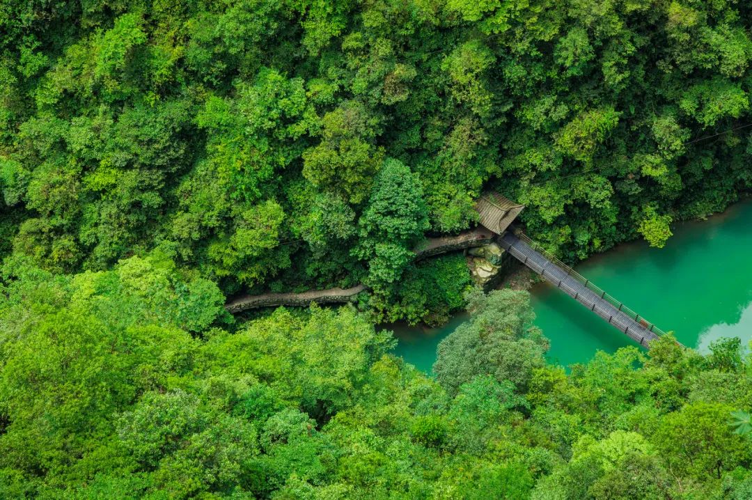 這6個清爽景美的小眾秘境裡，藏著中國最爽的夏天 旅遊 第23張