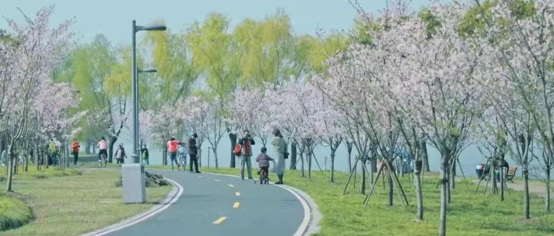 疫情过后三四月的苏州，将是全国最漂亮的城市