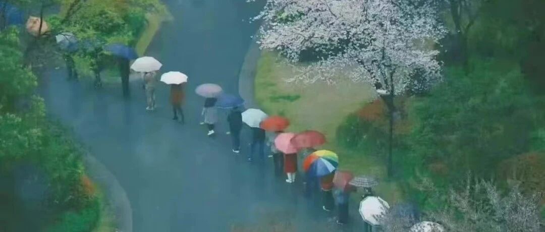 火上热搜！苏州人把艰难日子，过成了诗意江南