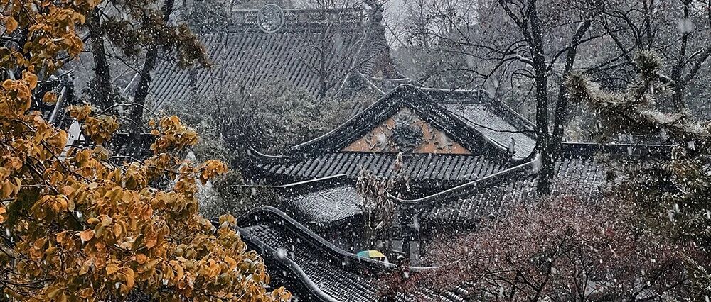 人的一辈子，一定要去感受一次下雪的苏州