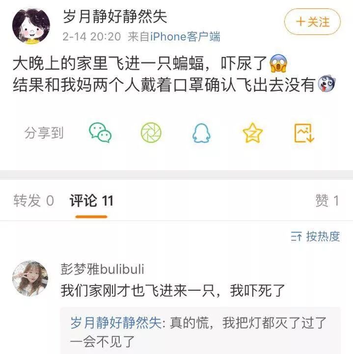 吓惨！女子家中深夜飞进蝙蝠！趴地板又撞门，还咬了一口…（组图） - 7