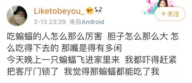 吓惨！女子家中深夜飞进蝙蝠！趴地板又撞门，还咬了一口…（组图） - 8