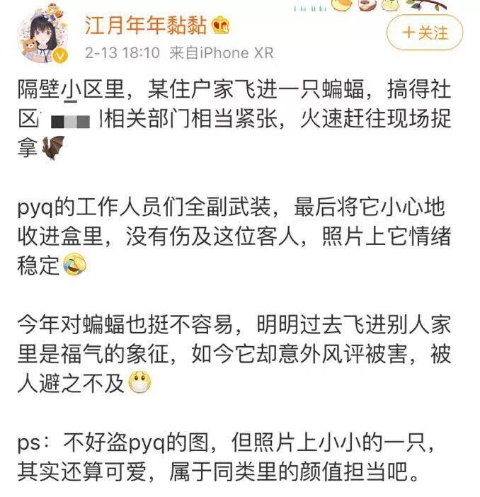 吓惨！女子家中深夜飞进蝙蝠！趴地板又撞门，还咬了一口…（组图） - 6