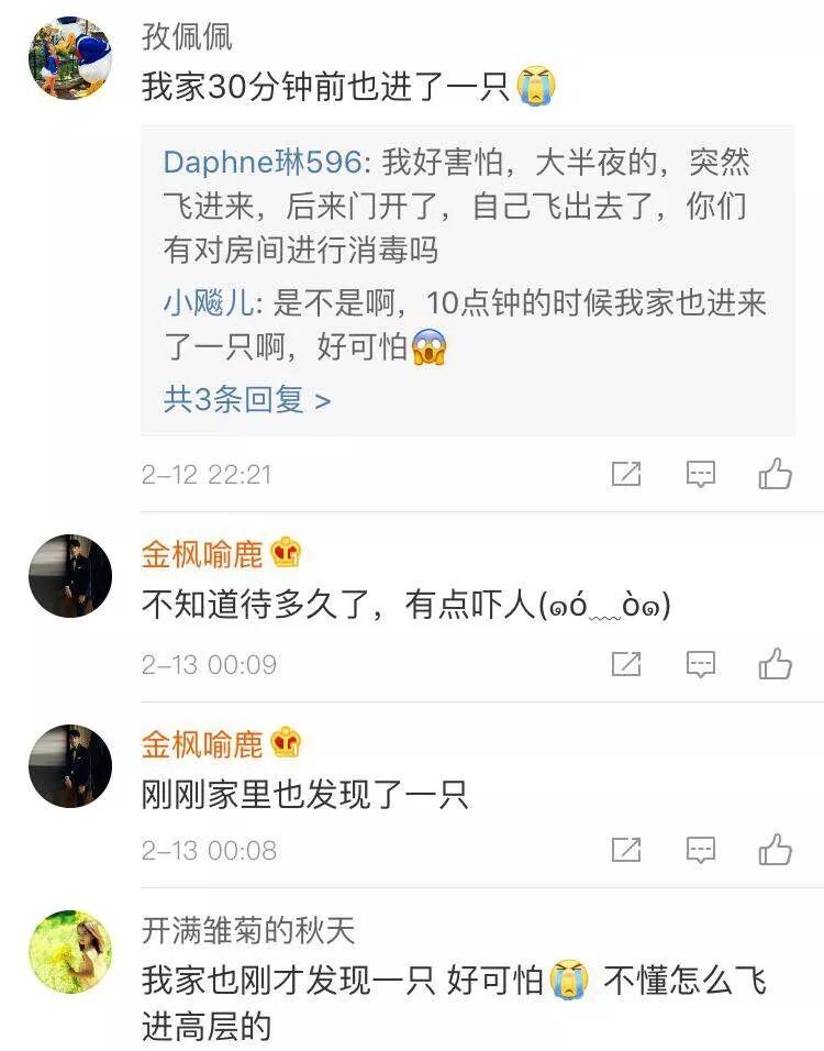 吓惨！女子家中深夜飞进蝙蝠！趴地板又撞门，还咬了一口…（组图） - 9
