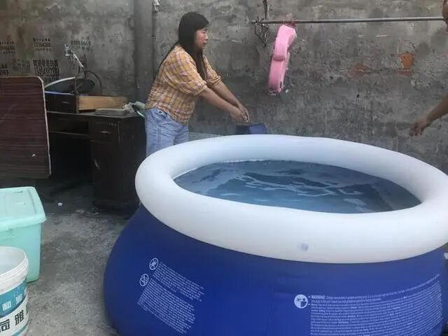 家里两女儿都有病，凑70万块只能救一个！母亲崩溃了（视频/组图） - 3