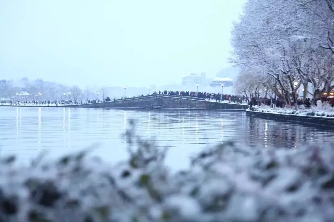 暴雪！暴雪！浙江大片大片雪花飄落，你看到了沒！更猛降溫還在後頭 遊戲 第30張