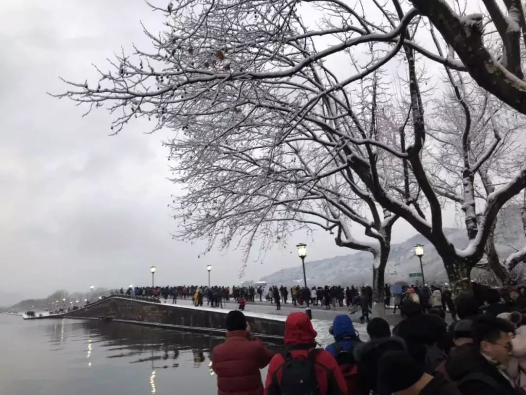 暴雪！暴雪！浙江大片大片雪花飄落，你看到了沒！更猛降溫還在後頭 遊戲 第31張