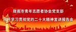 陇南市青年志愿者协会党支部召开学习贯彻党的二十大精神宣讲报告会