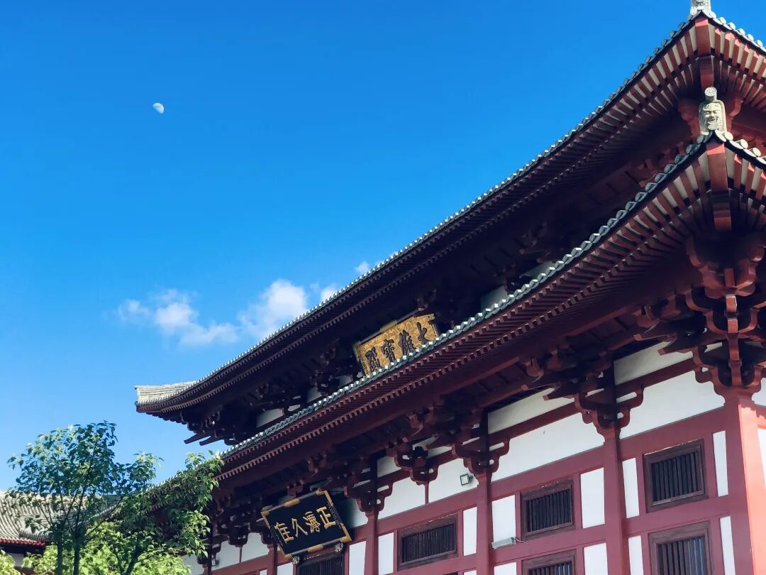 中国福建弥陀村佛教养老院——佛教信仰者的理想家园