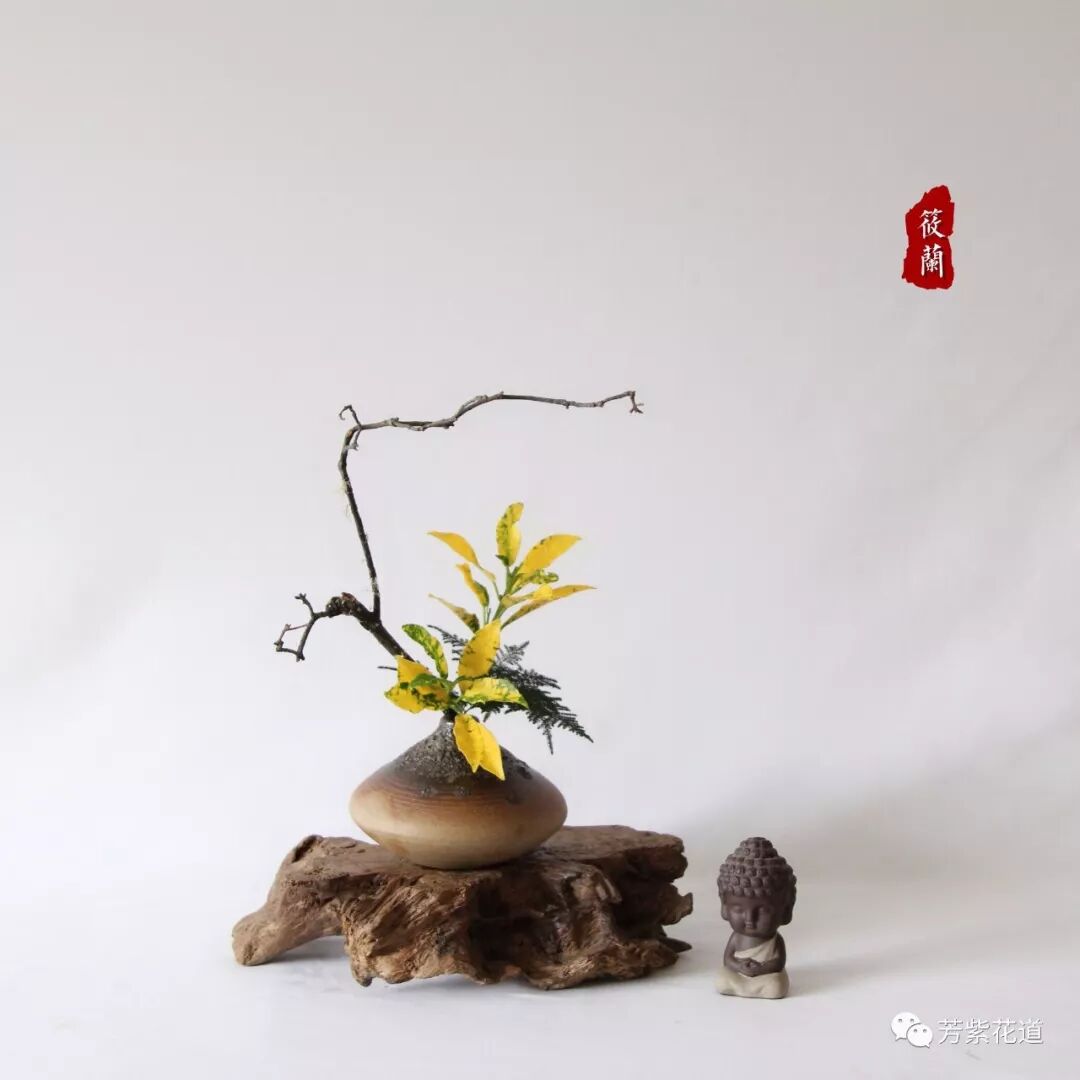 芳紫花道8月23号茶席花作品集 芳紫花道 微信公众号文章阅读 Wemp