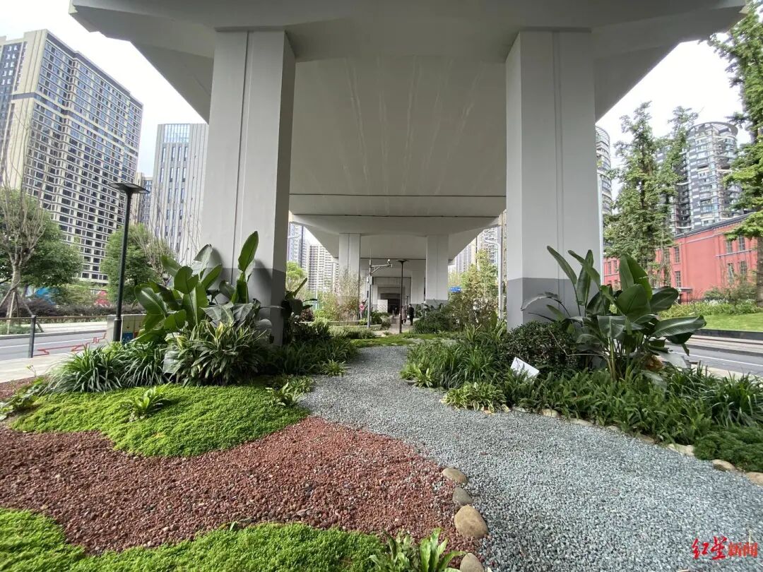 剩余空间变金角银边成都立交桥下藏着小公园