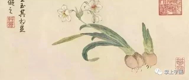 看看乾隆帝画的水仙美人