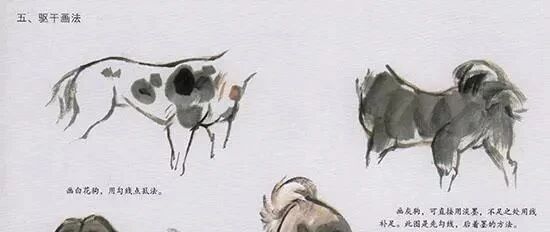 中国国画 花鸟技法 狗的画法