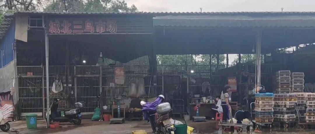 文章封面