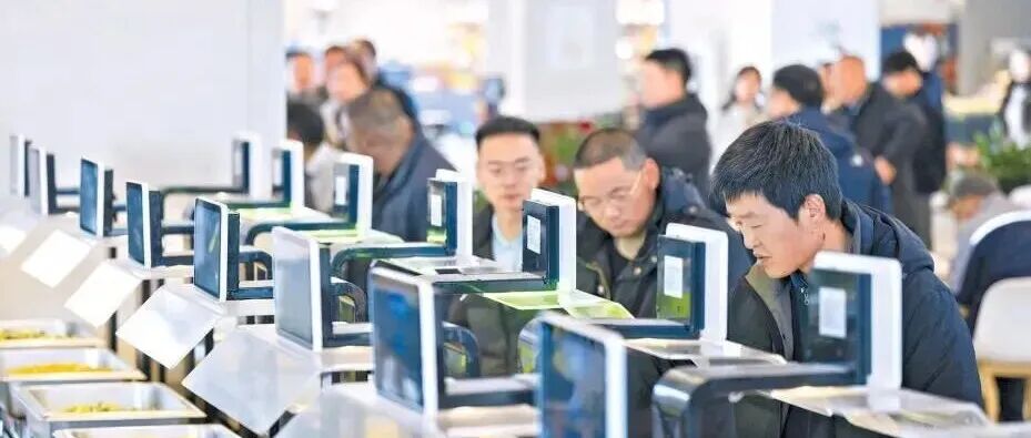 文章封面