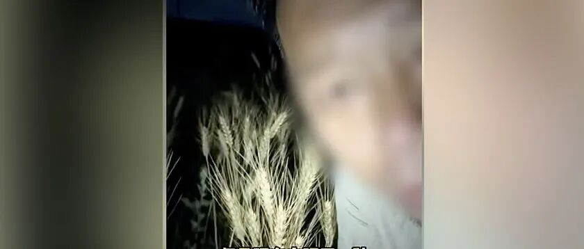 文章封面