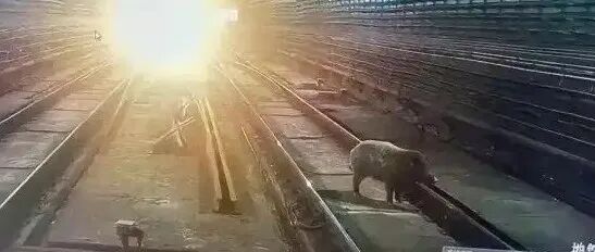 文章封面