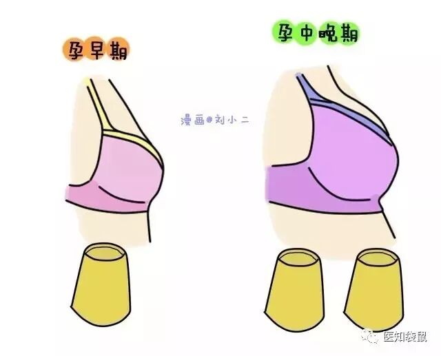 原来的坚挺小傲娇,断奶后干瘪又下垂?当妈可太难了……-友友