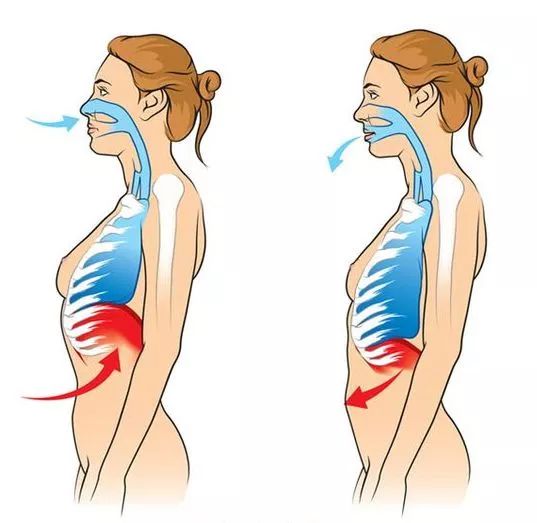 產後肚皮松垮、腰疼？常做這個動作就能恢復！ 親子 第10張