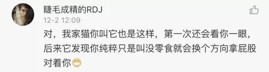 你家的貓為什麼叫不來？有可能是叫的方式不對！ 職場 第19張