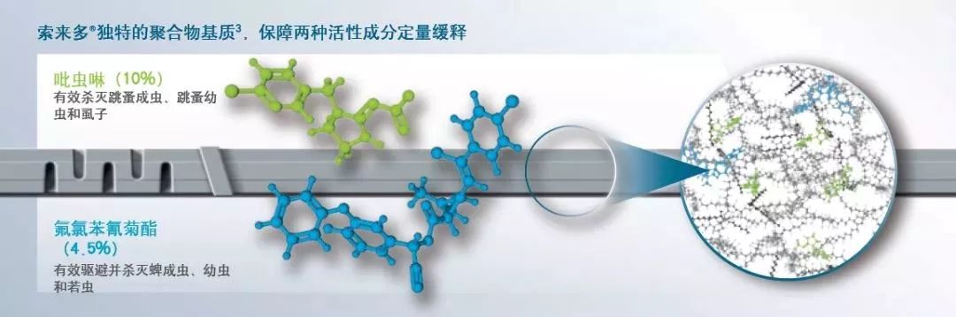 這只貓出去浪了幾天，不知道經歷了什麼，回來後判若兩貓… 寵物 第21張